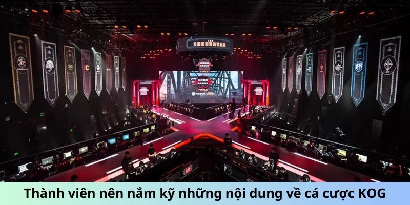 Thành viên nên nắm kỹ những nội dung về cá cược KOG